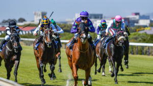 Horse Racing Betting